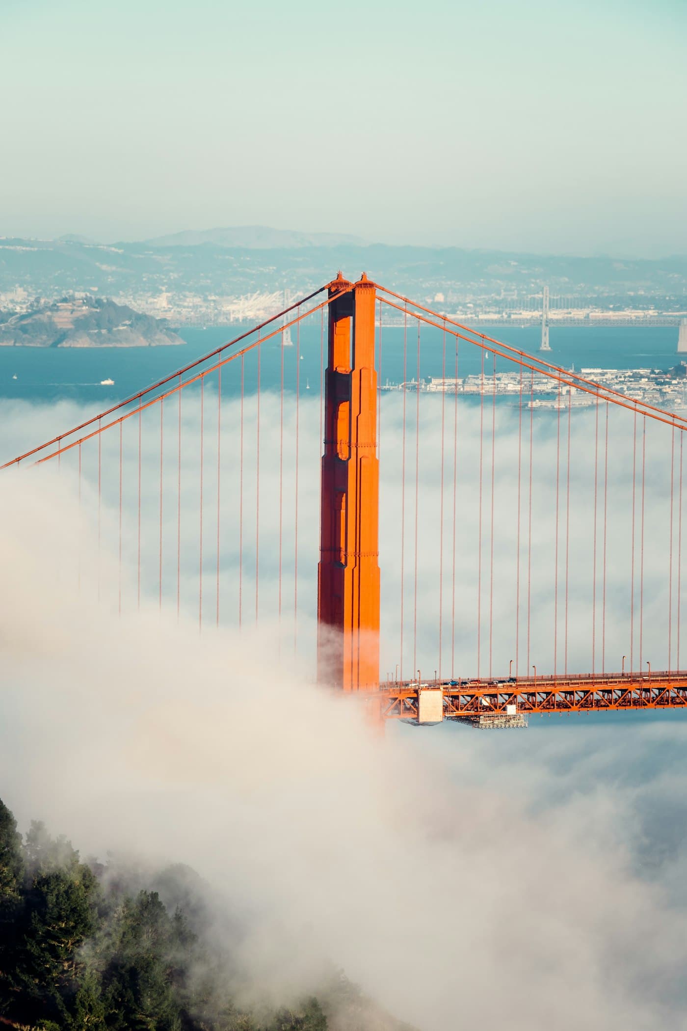 The Golden Gate Bridge rising above the coastal fog